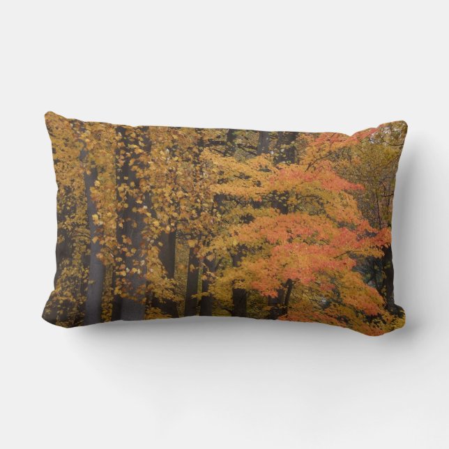 Thanksgiving Turkey Fall Leaves Reversible Pillow (Back)