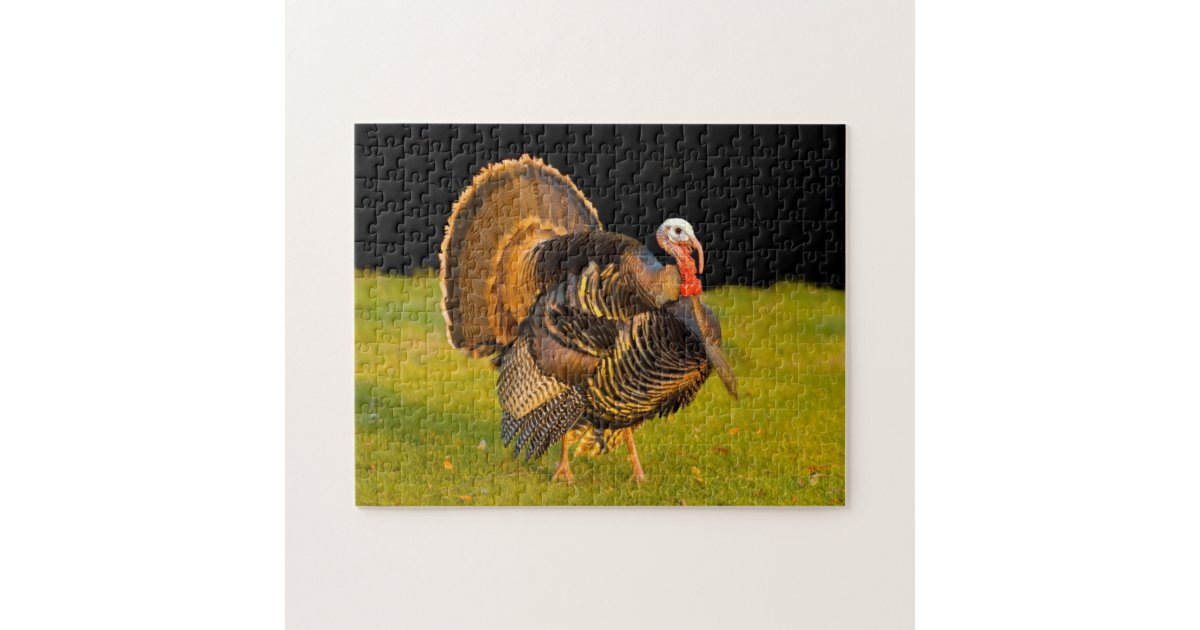 Thanksgiving turkey jigsaw puzzle Zazzle