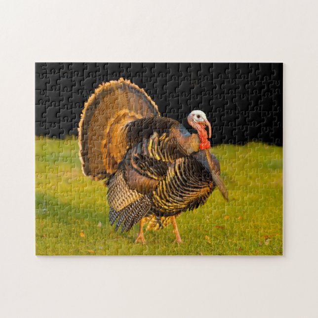 Thanksgiving turkey jigsaw puzzle (Horizontal)