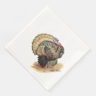 Thanksgiving Turkey Napkins