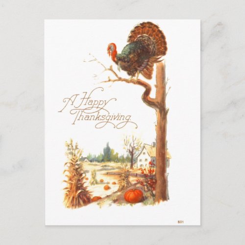 Thanksgiving Turkey on Tree Branch Vintage Holiday Postcard