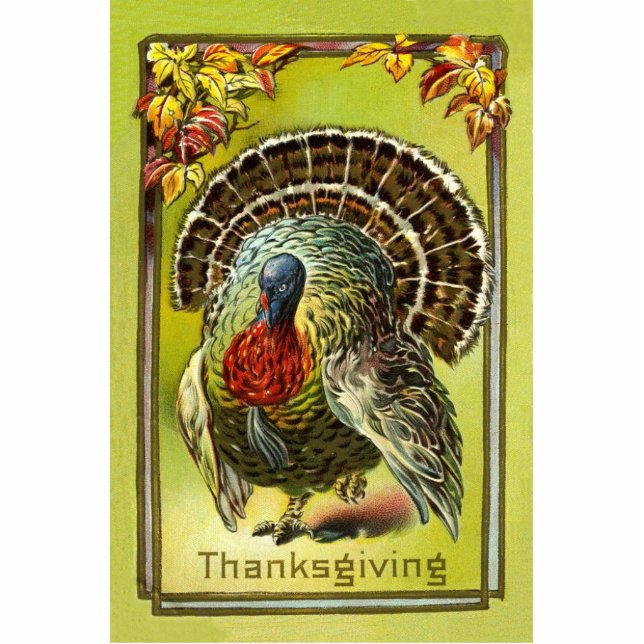 Thanksgiving Turkey Pin Cutout (Front)