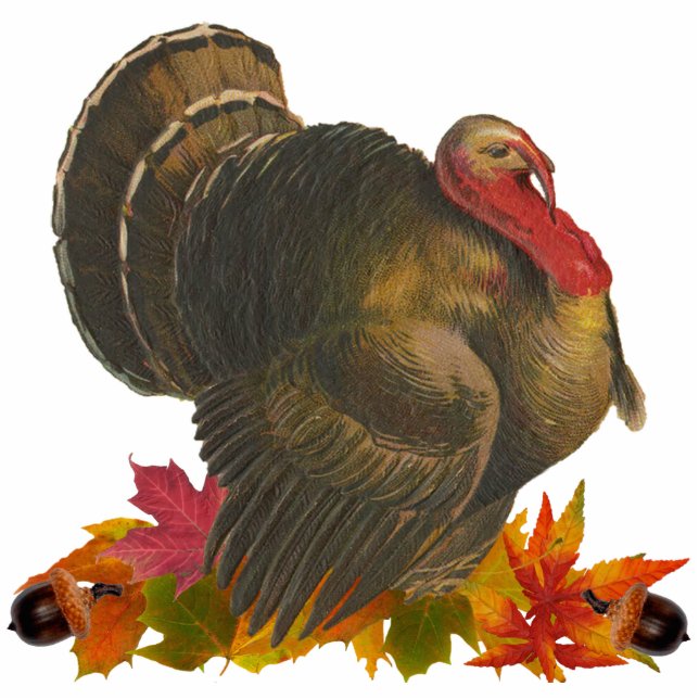 Thanksgiving Turkey Pin Statuette (Front)