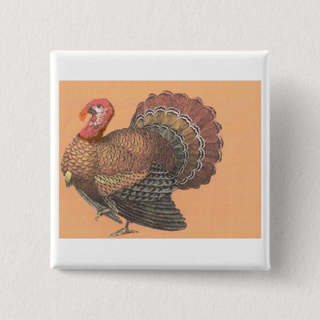 Thanksgiving Turkey Pinback Button (Front)