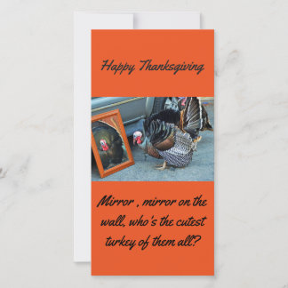 Thanksgiving Turkey postcard