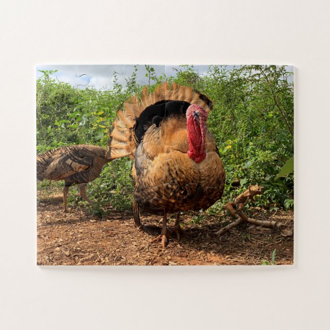 Thanksgiving Turkey Puzzle (Horizontal)