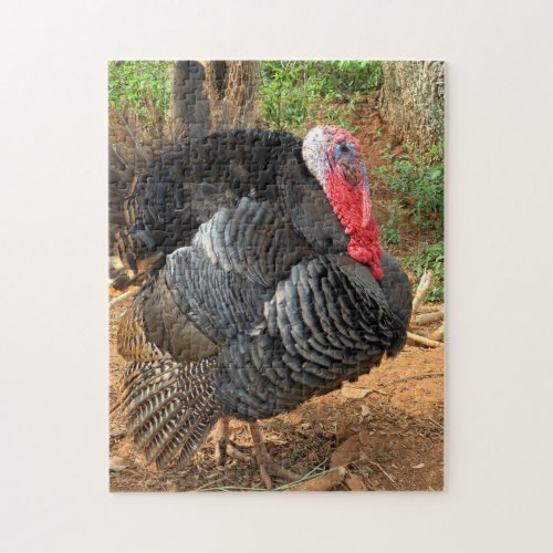 Thanksgiving Turkey Puzzle