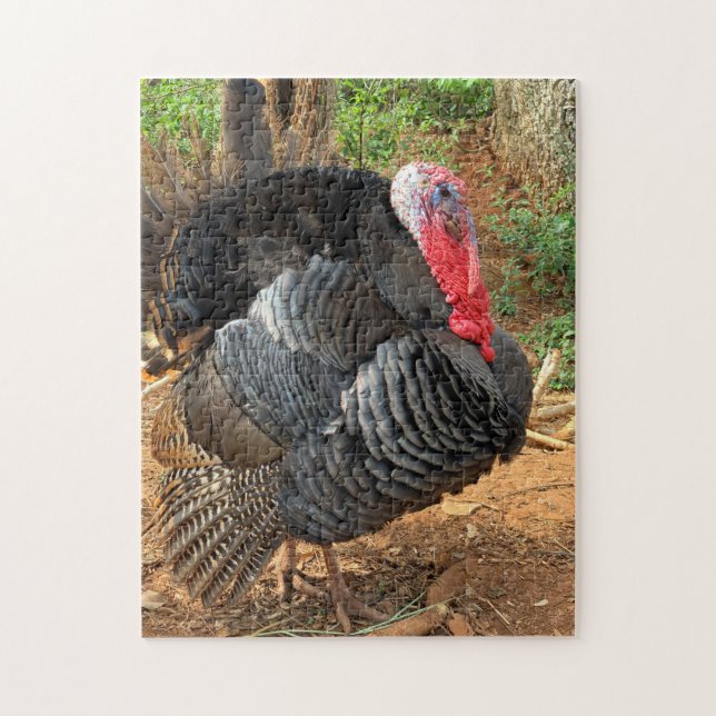 Thanksgiving Turkey Puzzle (Vertical)
