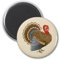 Thanksgiving Turkey round magnet
