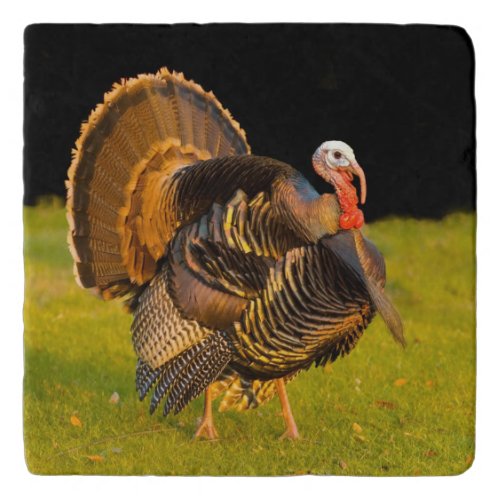 Thanksgiving turkey trivet