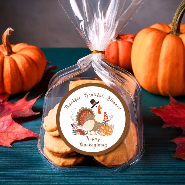 Thanksgiving Turkey With Pumpkins And Autumn Leave Classic Round Sticker (Creator Uploaded)