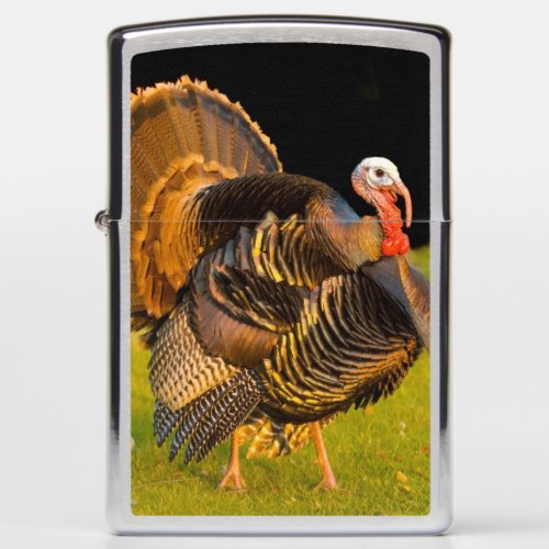Thanksgiving turkey zippo lighter