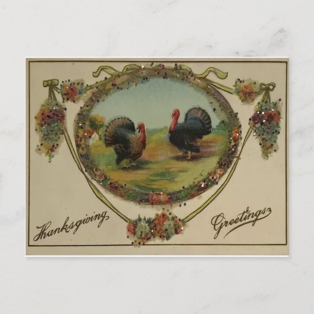 Thanksgiving Turkeys Postcard (Front)