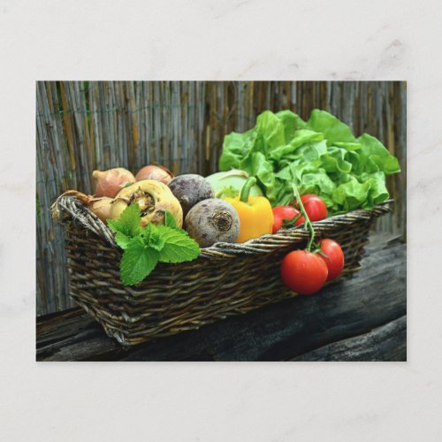 Thanksgiving Vegetable Harvest in a Basket Holiday Postcard