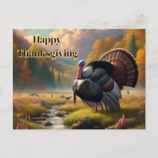 Thanksgiving Wild Tom Turkey 