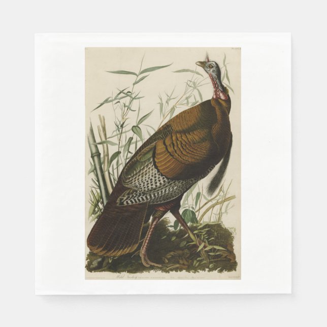 Thanksgiving Wild Turkey John James Audubon Paper Napkins (Front)