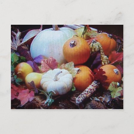 Thanksgiving Wishes Holiday Postcard
