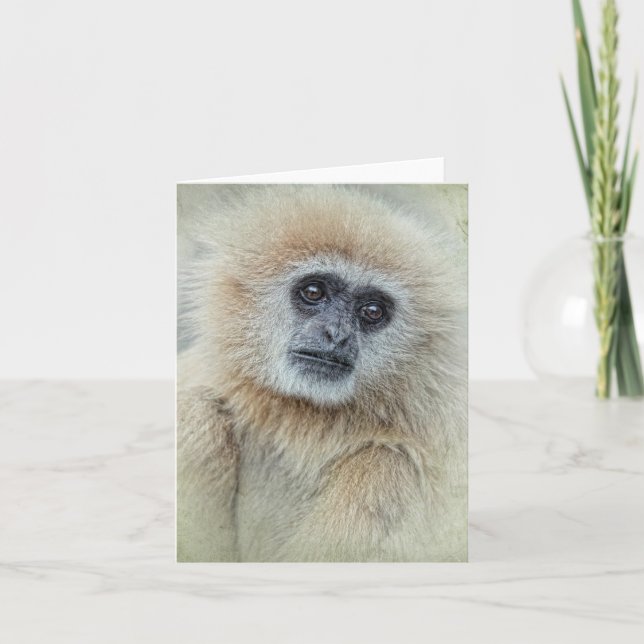 Thankyou Card (Front)