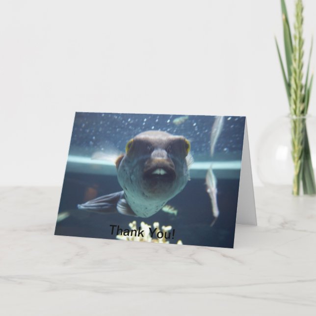 That Bucktooth Fish Card (Front)