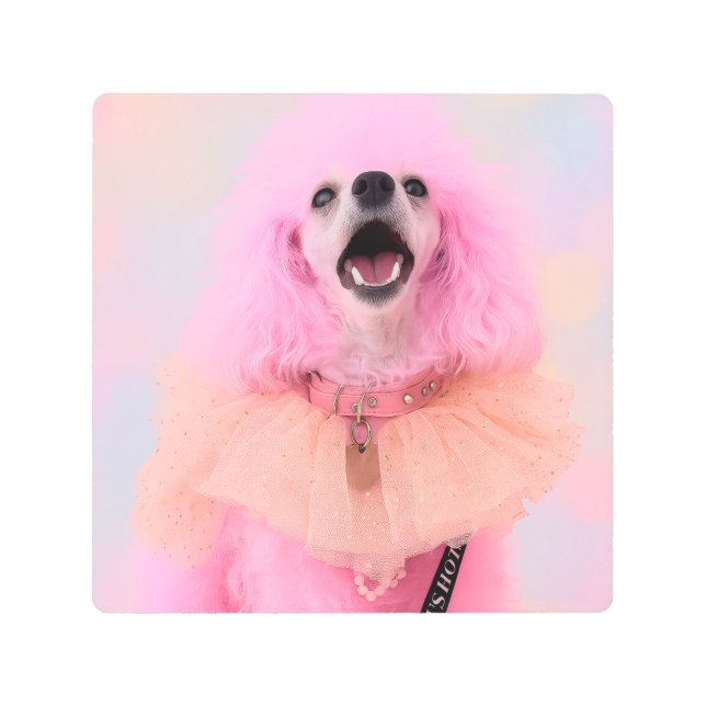 That’s Hot That’s Pink Retro Kawaii Poodle Poster (Front)