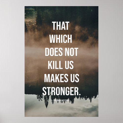 That which does not kill us makes us stronger poster
