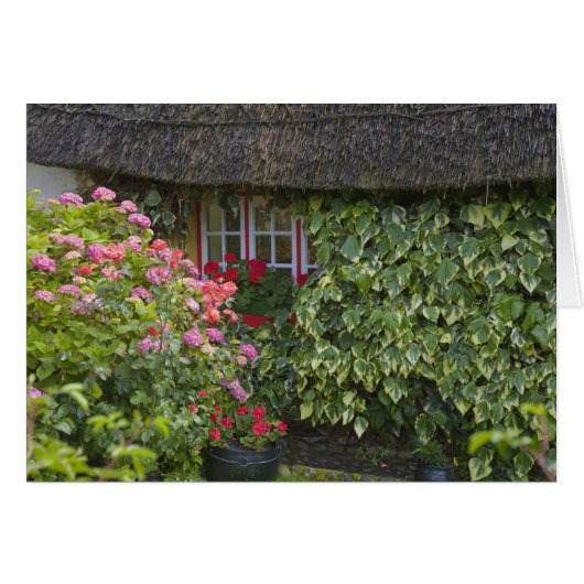 Thatched cottage, Adare, County Limerick, Cards (Front Horizontal)