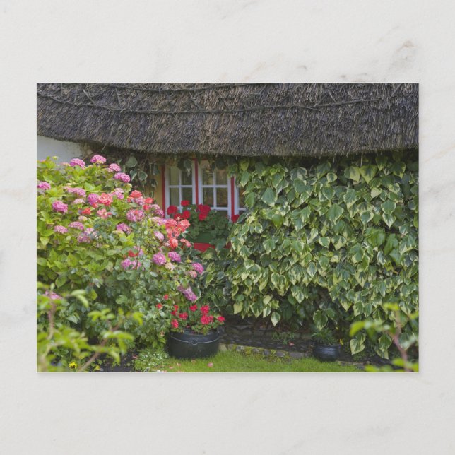 Thatched cottage, Adare, County Limerick, Postcard (Front)