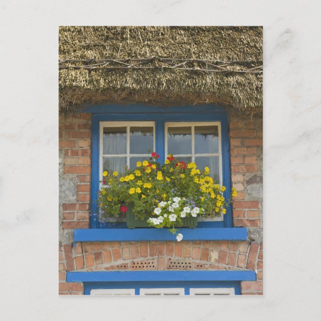 Thatched cottage, Adare, County Limerick, Postcard (Front)