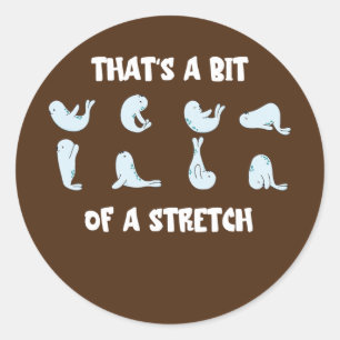 That's A Bit Of A Stretch Seal Funny Sea Lion