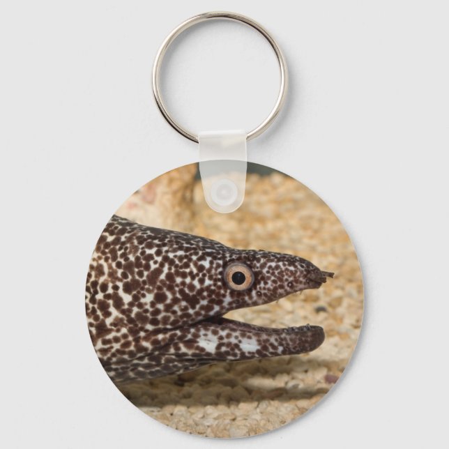 That's a Moray! Keychain (Front)