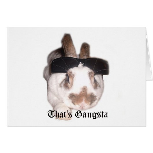 That's Gangsta (Front Horizontal)