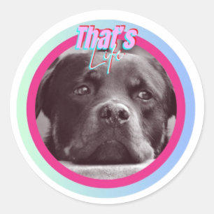 That's Life Classic Round Sticker