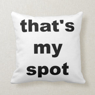 That's my spot. Pillow
