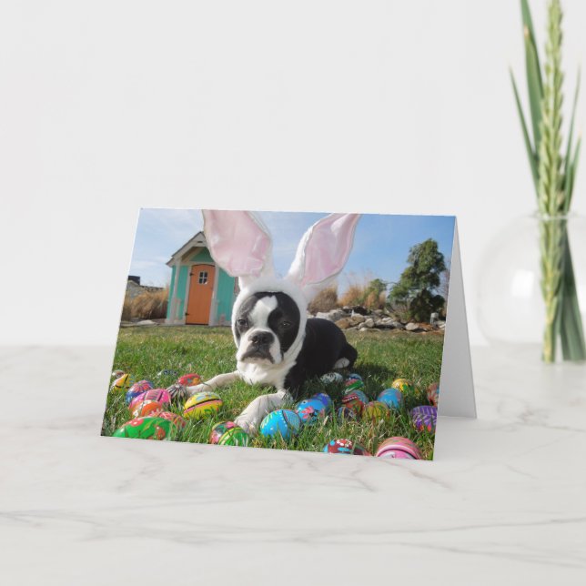 That's SOME bunny!  Lola B. Boston Easter Card (Front)