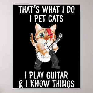 That's What I Do I Pet Cats I Play Guitars And I K Poster