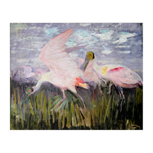 Thayer's Captivating Roseate Spoonbills Acrylic Print