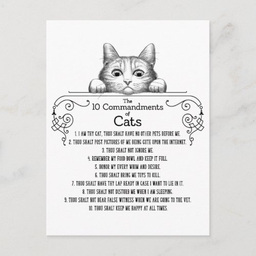 The 10 Commandments of Cats Funny Postcard