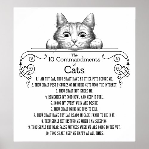 The 10 Commandments of Cats Funny Poster