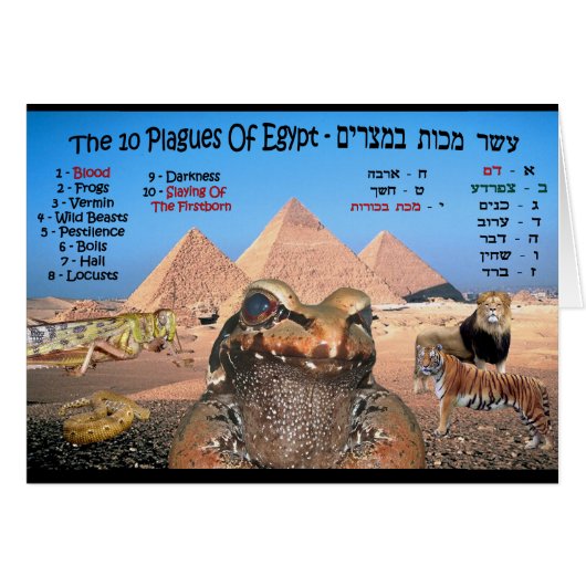 The 10 Plagues Of Egypt Cards (Front Horizontal)