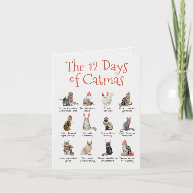 The 12 Days of Catmas Folded Greeting Card (Front)