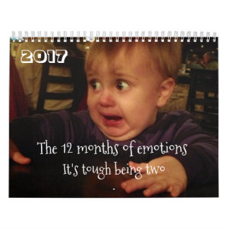 The 12 months of emotions-toddler problems. FUNNY Calendar