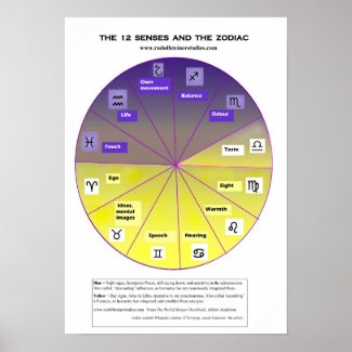 The 12 senses and the zodiac poster