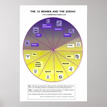 The 12 Senses And The Zodiac Poster by SteinerstudiesArt at Zazzle