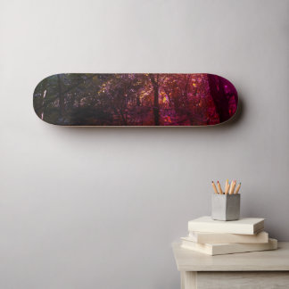 The 13th Skultboard. Skateboard