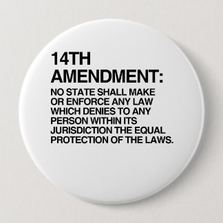 THE 14TH AMENDMENT PINBACK BUTTON