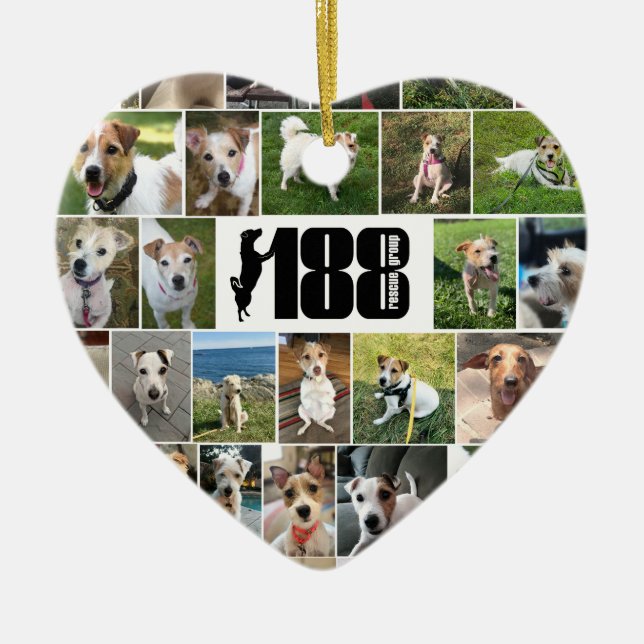 The 188 Rescue Group 2-sided Heart Ornament (Front)