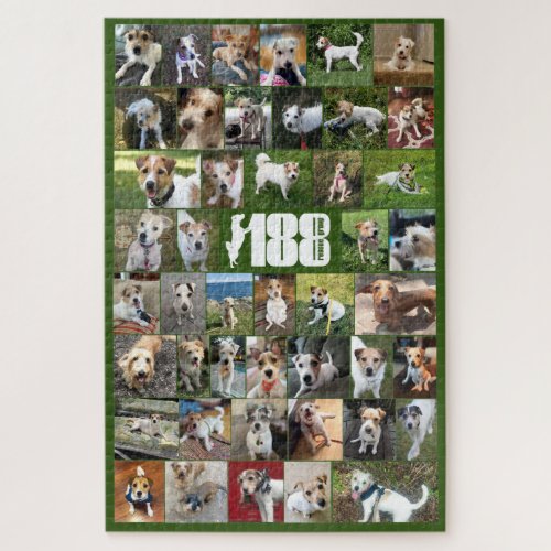 The 188 Rescue Group Poster Puzzle