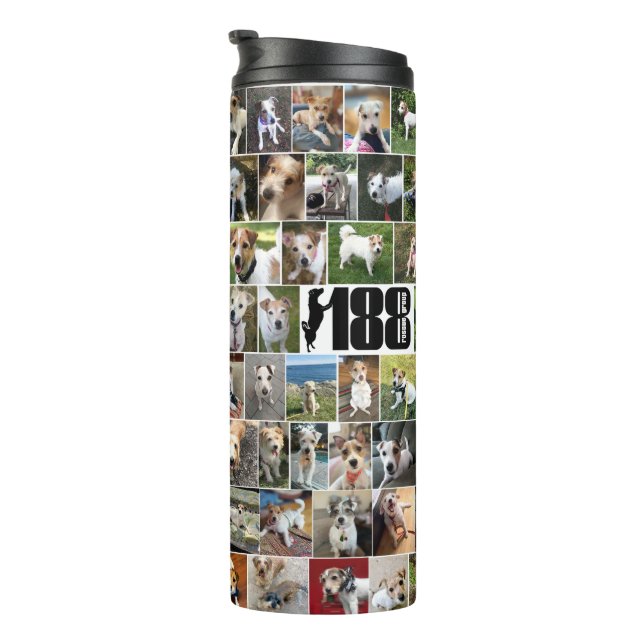 The 188 Rescue Group Poster Thermal Tumbler (Rotated Right)