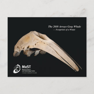 The 2010 Arroyo Gray Whale - Footprints of a Whale Postcard