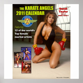The_2011_Karate_Angels_Calendar Poster
